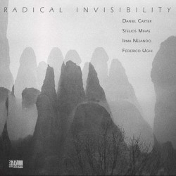 Radical Invisibility