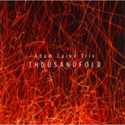 Adam Caine Trio: Thousandfold
