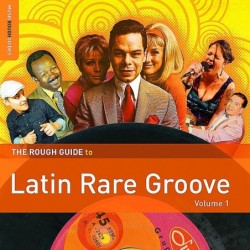 The Rough Guide To Latin...