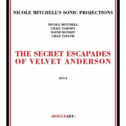 Nicole Mitchell’s Sonic...
