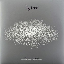Fig Tree [Vinyl 2LP]