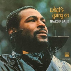 Marvin Gaye: What's Going...