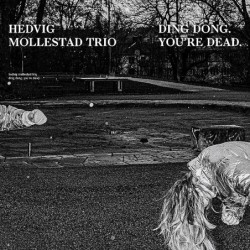 Hedvig Mollestad Trio: Ding...