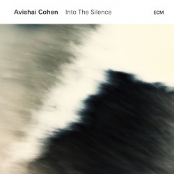Avishai Cohen: Into the...