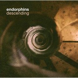 endorphins: descending