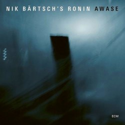 Nik Bartsch’s Ronin: Awase...