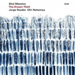 Shai Maestro Trio: The...