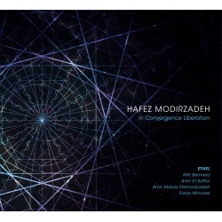Hafez Modirzadeh: In...