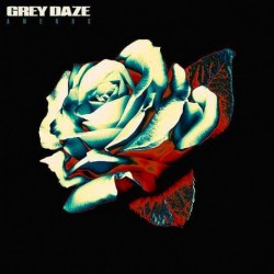 Grey Daze: Amends [Vinyl 1LP]