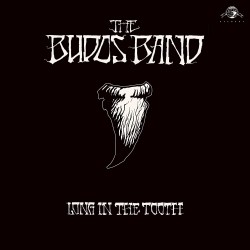 The Budos Band: Long In the...