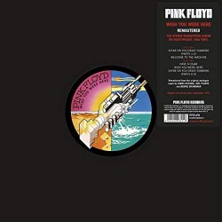 Pink Floyd: Wish You Were...