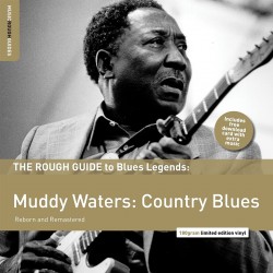 The Rough Guide To Blues...