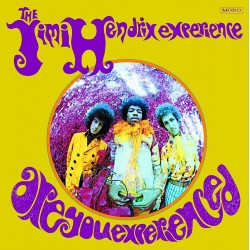 Jimi Hendrix Experience:...