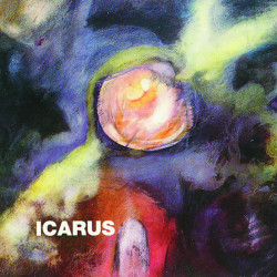 Icarus: Beating the Racoon