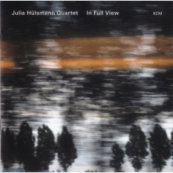 Julia Hulsmann Quartet: In...