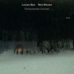 Lucian Ban & Mat Maneri:...
