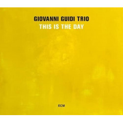 Giovanni Guidi Trio: This...