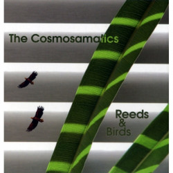 The Cosmosamatics: Reeds &...