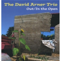 The David Arner Trio: Out /...