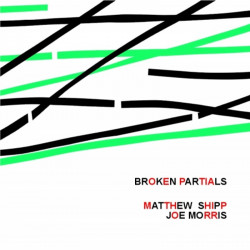 Matthew Shipp, Joe Morris:...