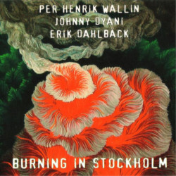 Per Henrik Wallin: Burning...