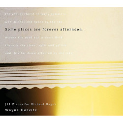 Wayne Horvitz: Some Places...