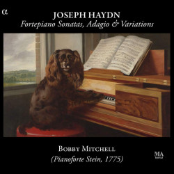 Joseph Haydn: Fortepiano...