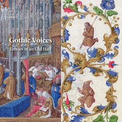 Gothic Voices: Echoes of an...