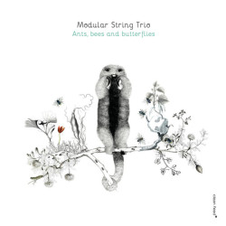 Modular String Trio: Ants,...