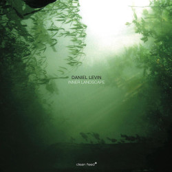Daniel Levin: Inner Landscape
