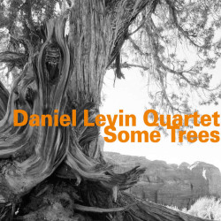 Daniel Levin Quartet: Some...