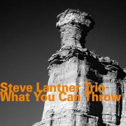 Steve Lanter Trio: What You...