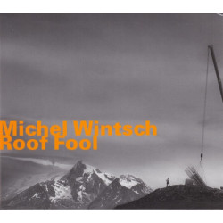 Michel Wintsch: Roof Fool