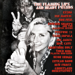 The Flaming Lips: The...