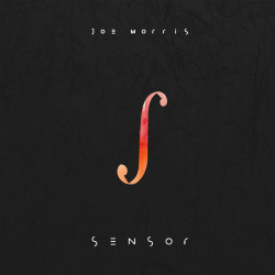 Joe Morris: Sensor [Vinyl...