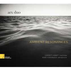 arx duo: Ambient Resonances