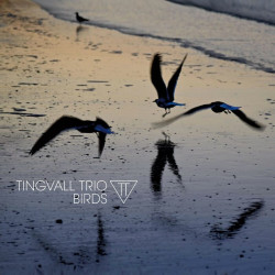 Tingvall Trio: Birds [Vinyl...