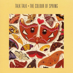 Talk Talk: Colour of Spring