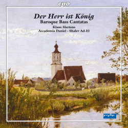 Baroque Bass Cantatas -...