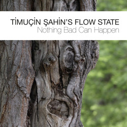 Timuçin Şahin's Flow State:...