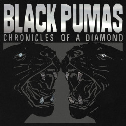 Black Pumas: Chronicles Of...