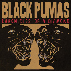 Black Pumas: Chronicles Of...