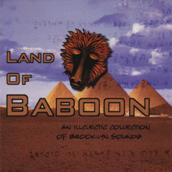 Land of Baboon Volume 1: An...