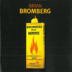 Brian Bromberg: Bromberg...