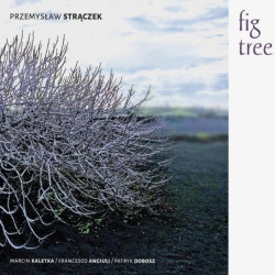 Przemysław Strączek: Fig Tree