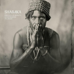 Shabaka: Perceive Its...