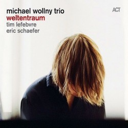 Michael Wollny Trio:...