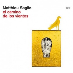Matthieu Saglio: el camino...