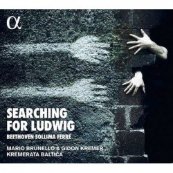 Searching for Ludwig -...