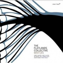 The Flatlands Collective:...